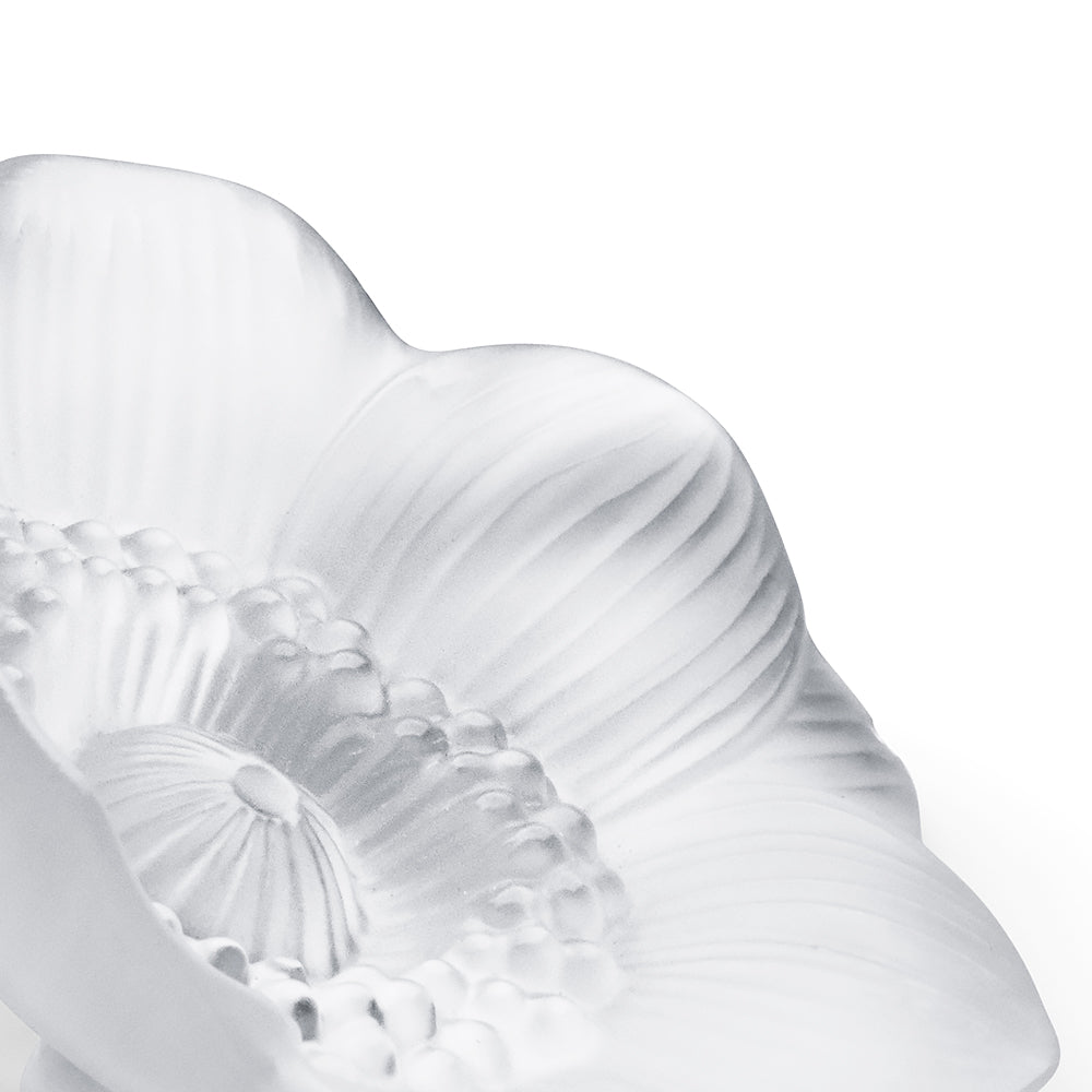 Lalique Anemone Small