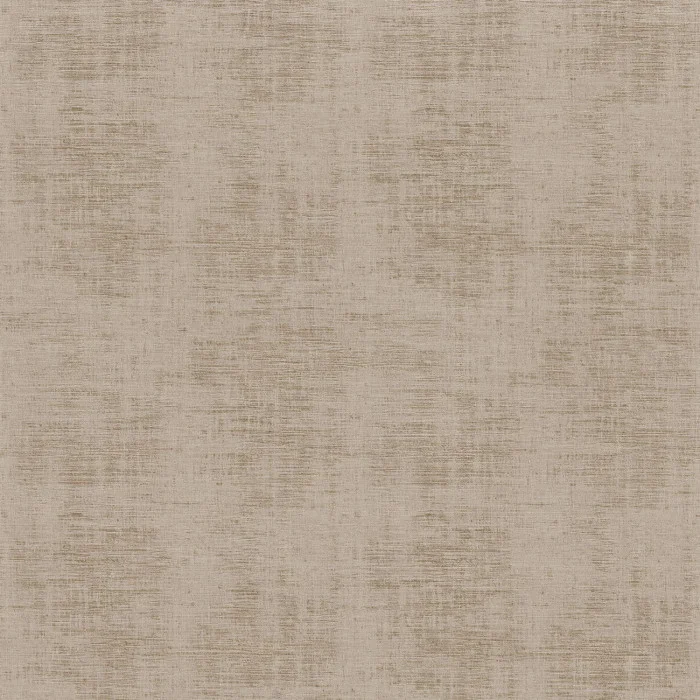 Taupe 1