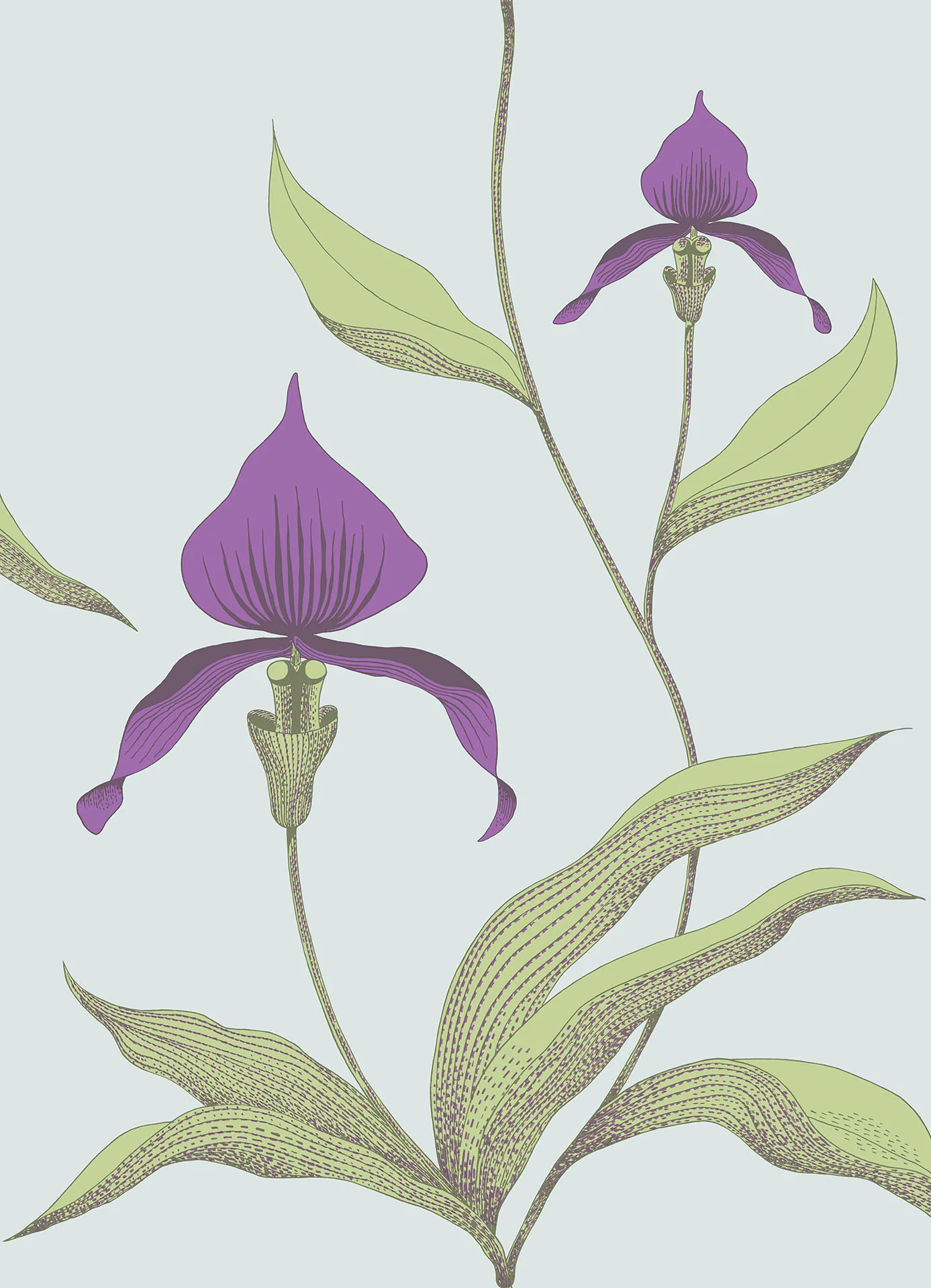 Cole & Son Orchid