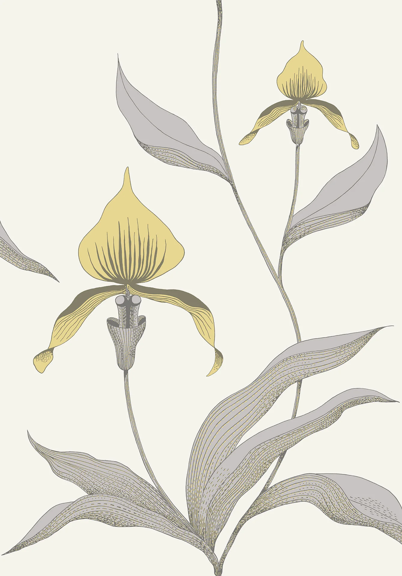 Cole & Son Orchid