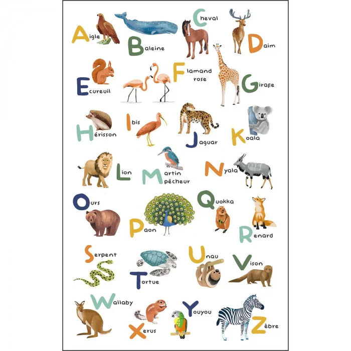 Caselio Apprenons l'Alphabet L