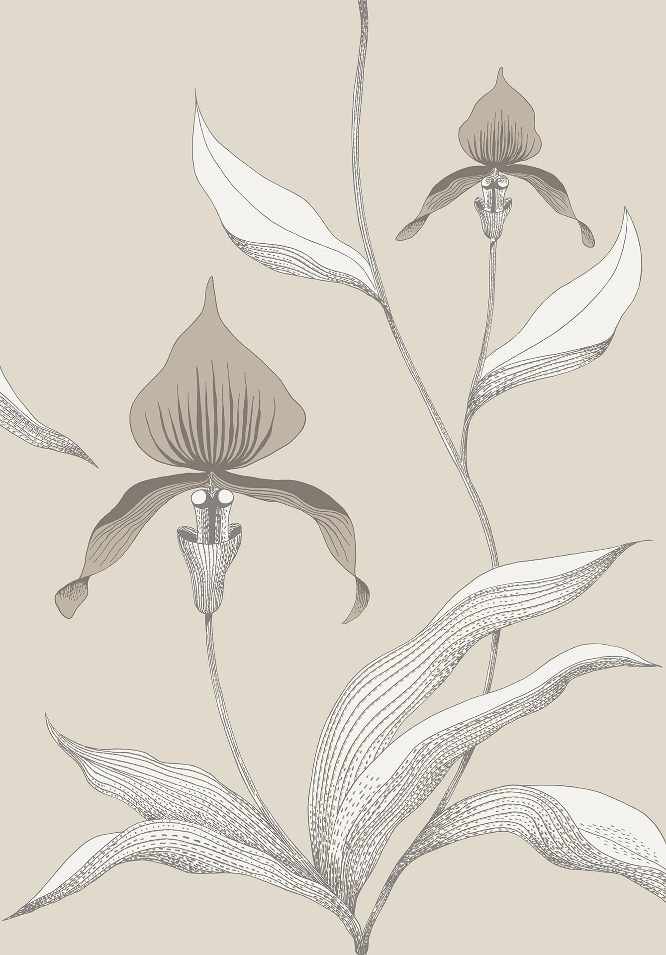 Cole & Son Orchid