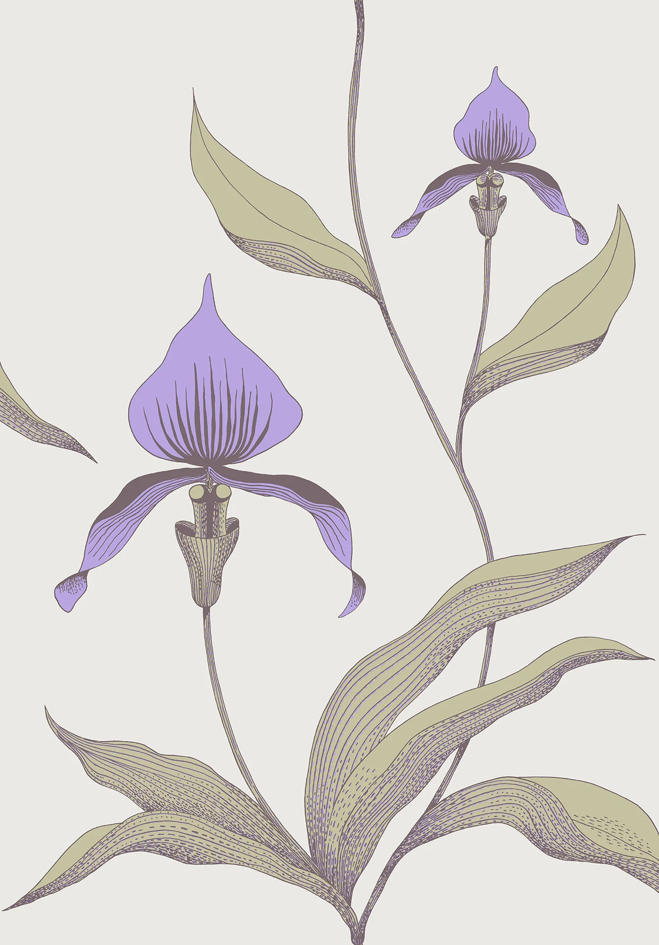 Cole & Son Orchid