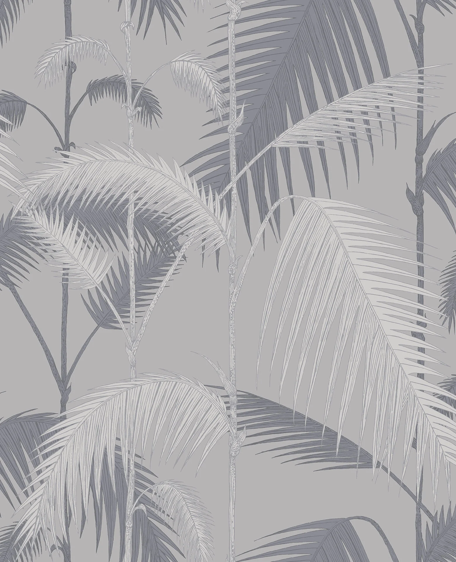 Cole & Son Palm Jungle