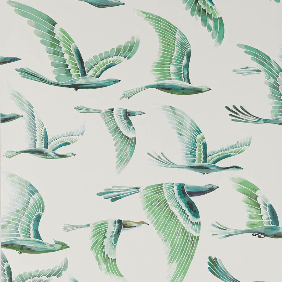 Manuel Canovas Hydra