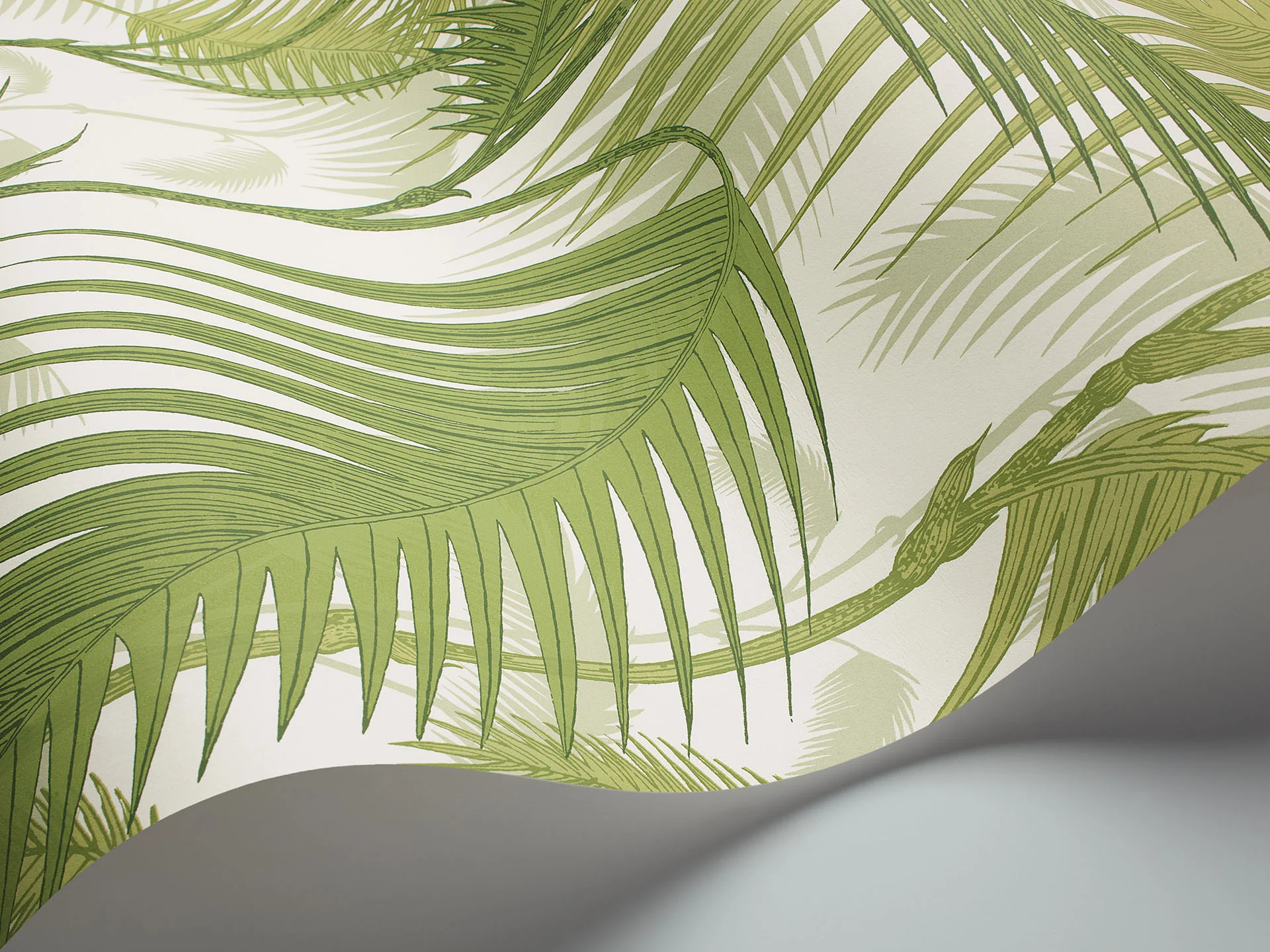 Cole & Son Palm Jungle