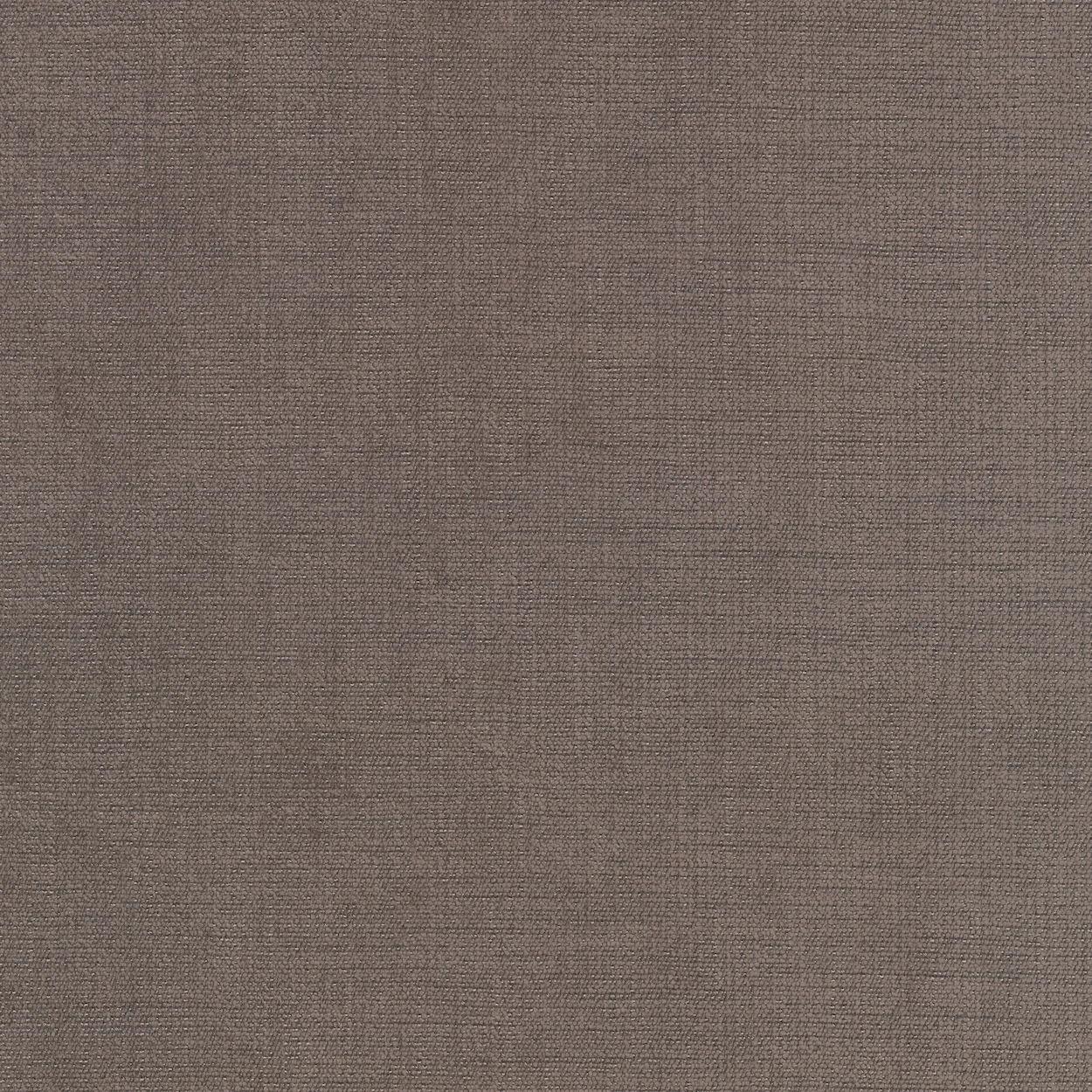 Kvadrat Maple