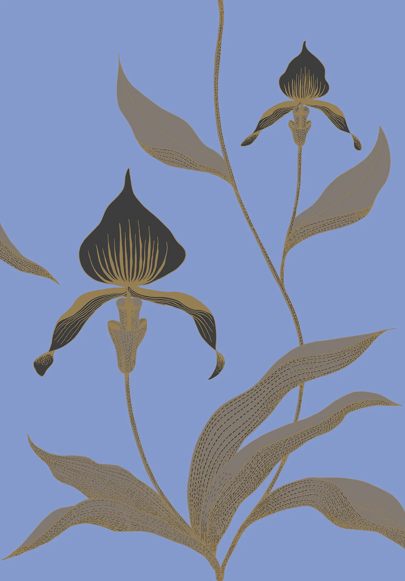 Cole & Son Orchid