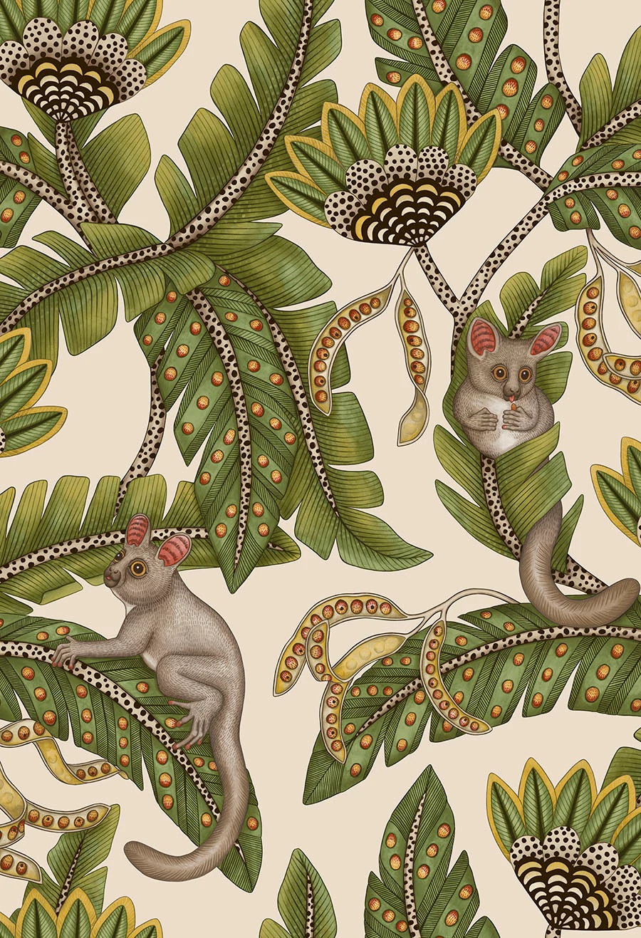 Cole & Son Bush Baby