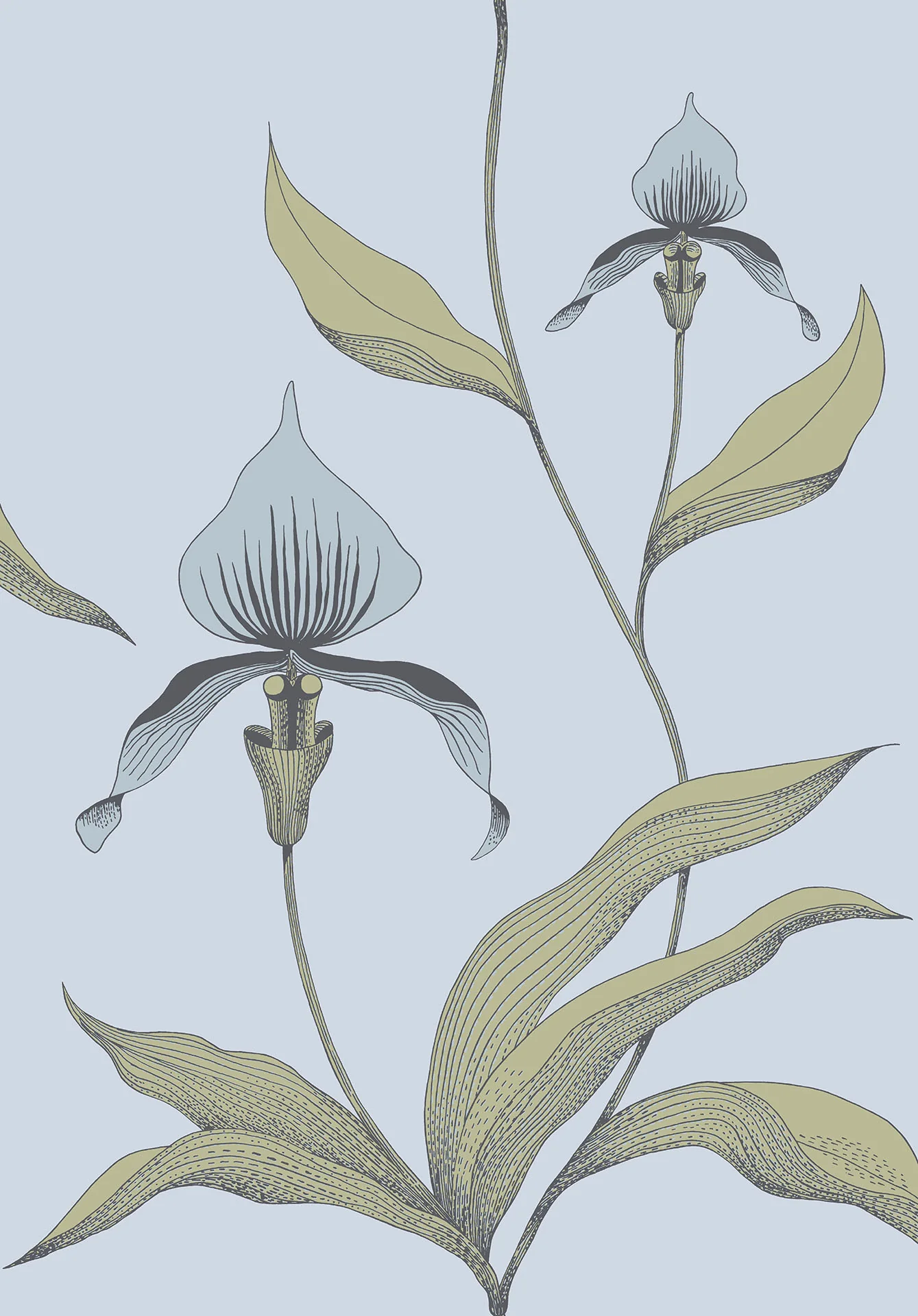 Cole & Son Orchid