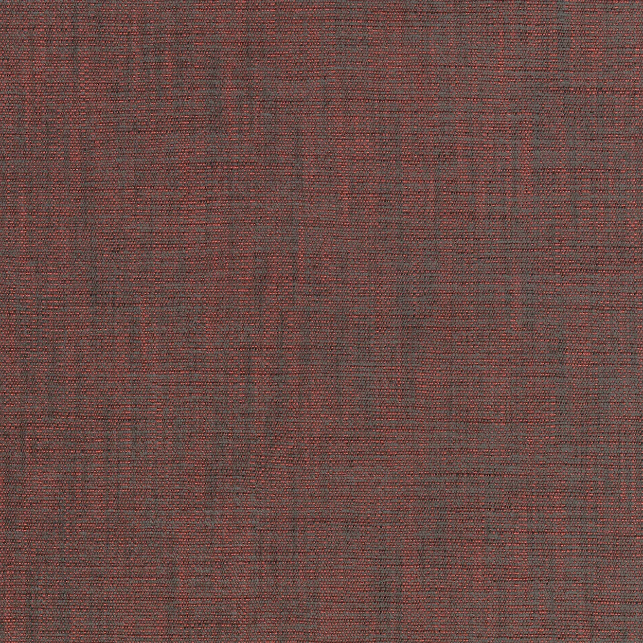 Kvadrat Maple