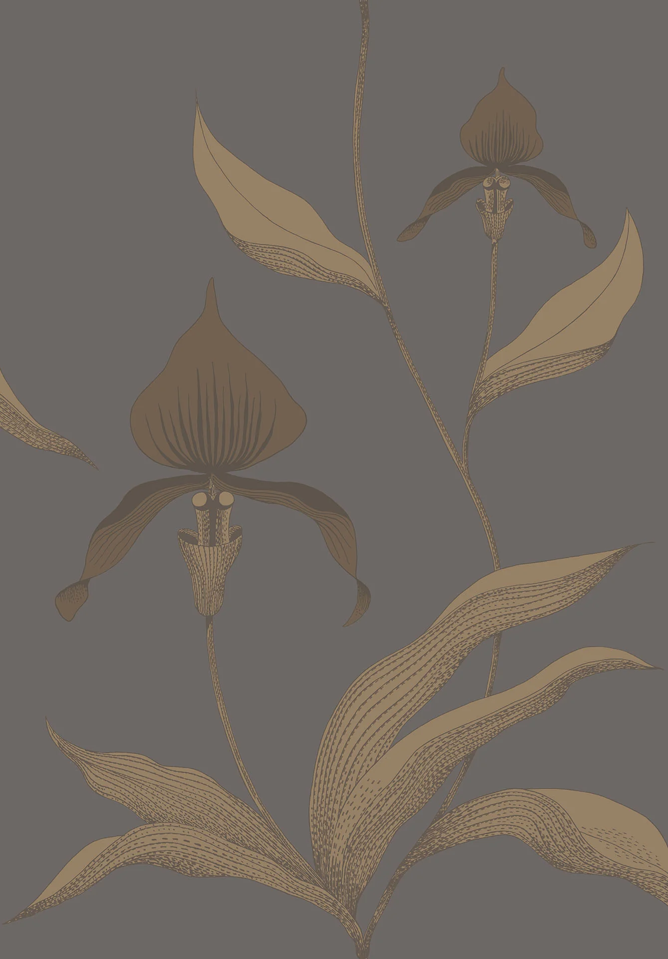 Cole & Son Orchid