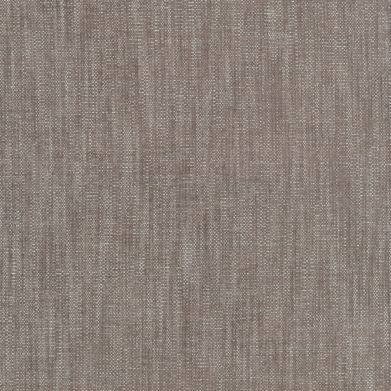 Kvadrat Maple