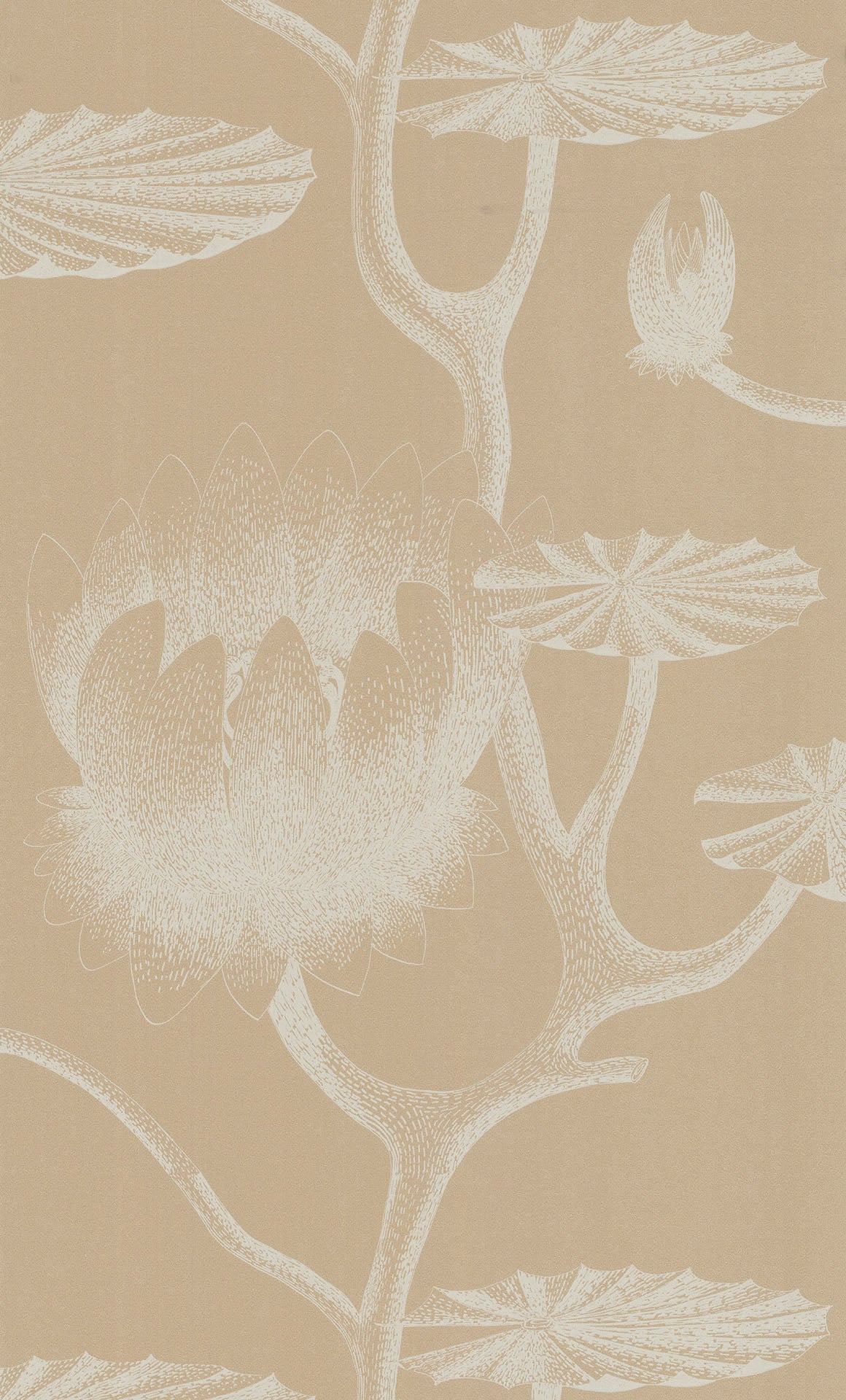 Cole & Son Lily