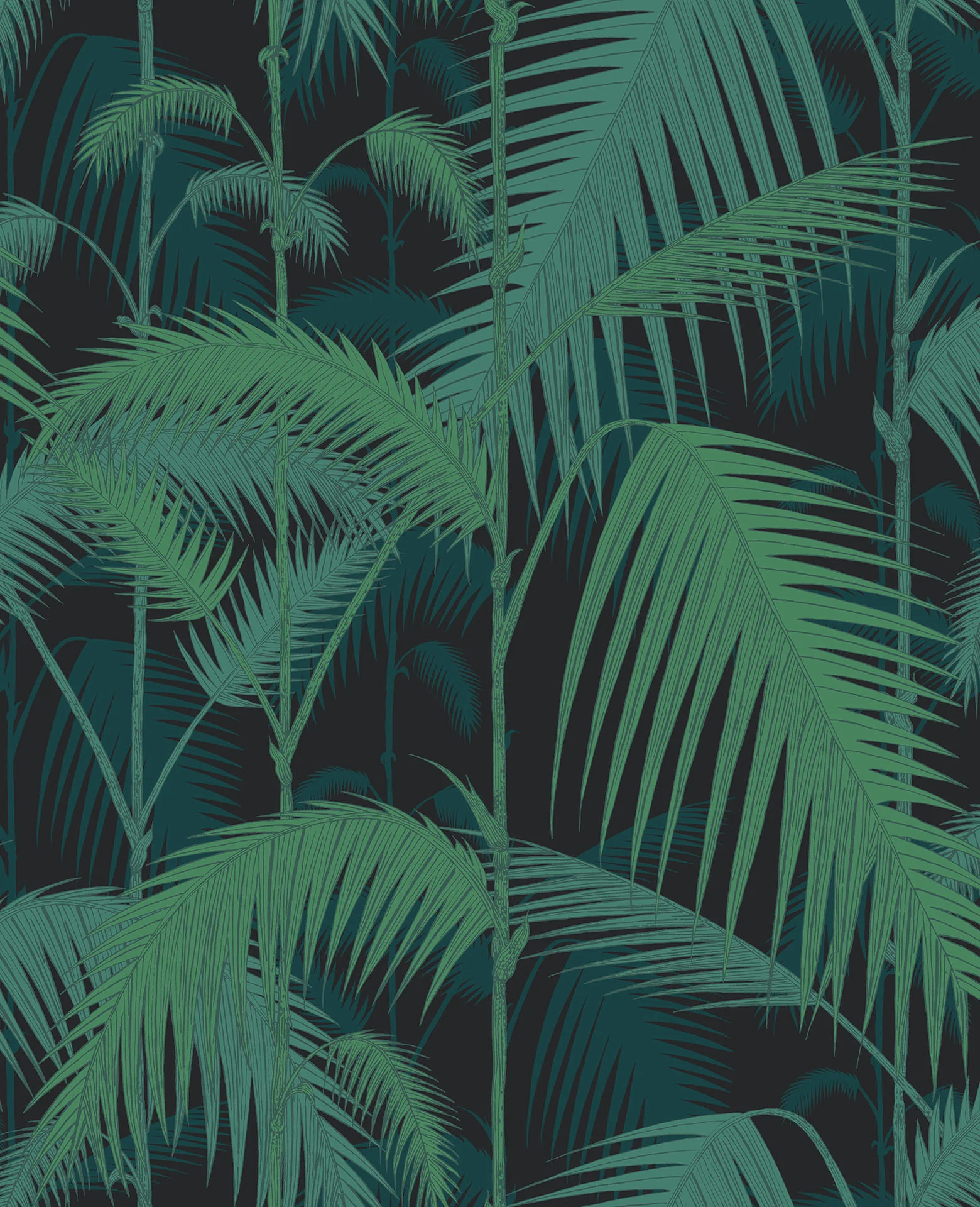 Cole & Son Palm Jungle