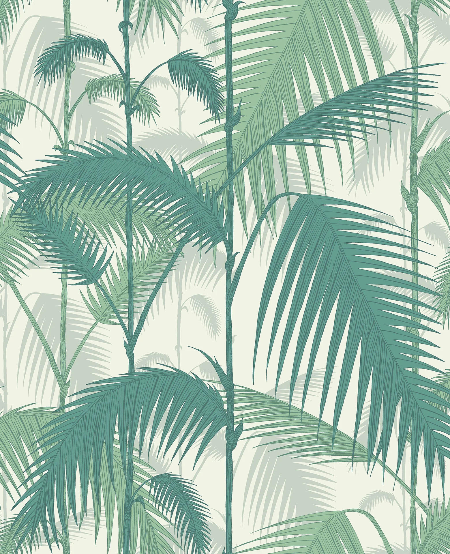 Cole & Son Palm Jungle