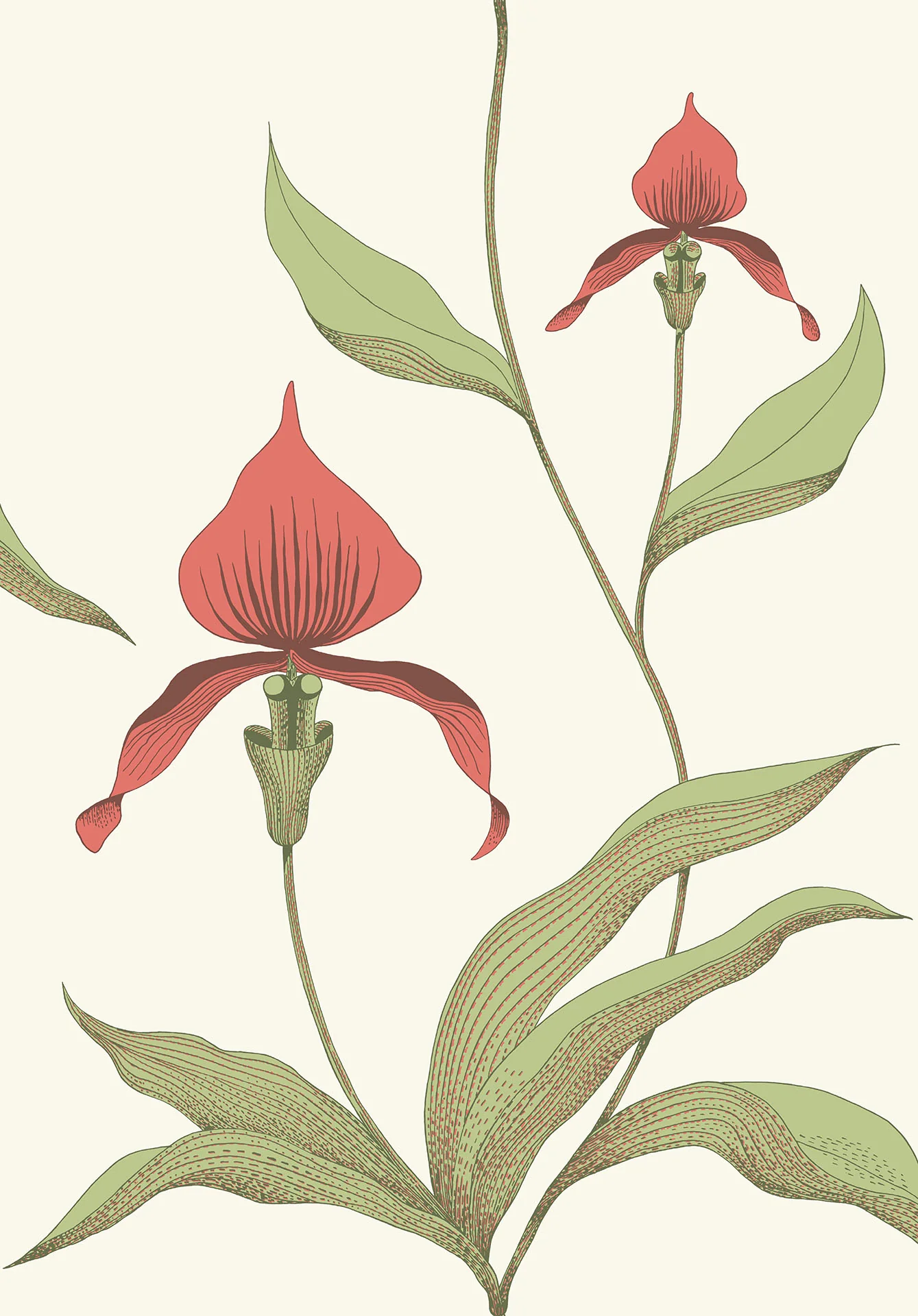 Cole & Son Orchid