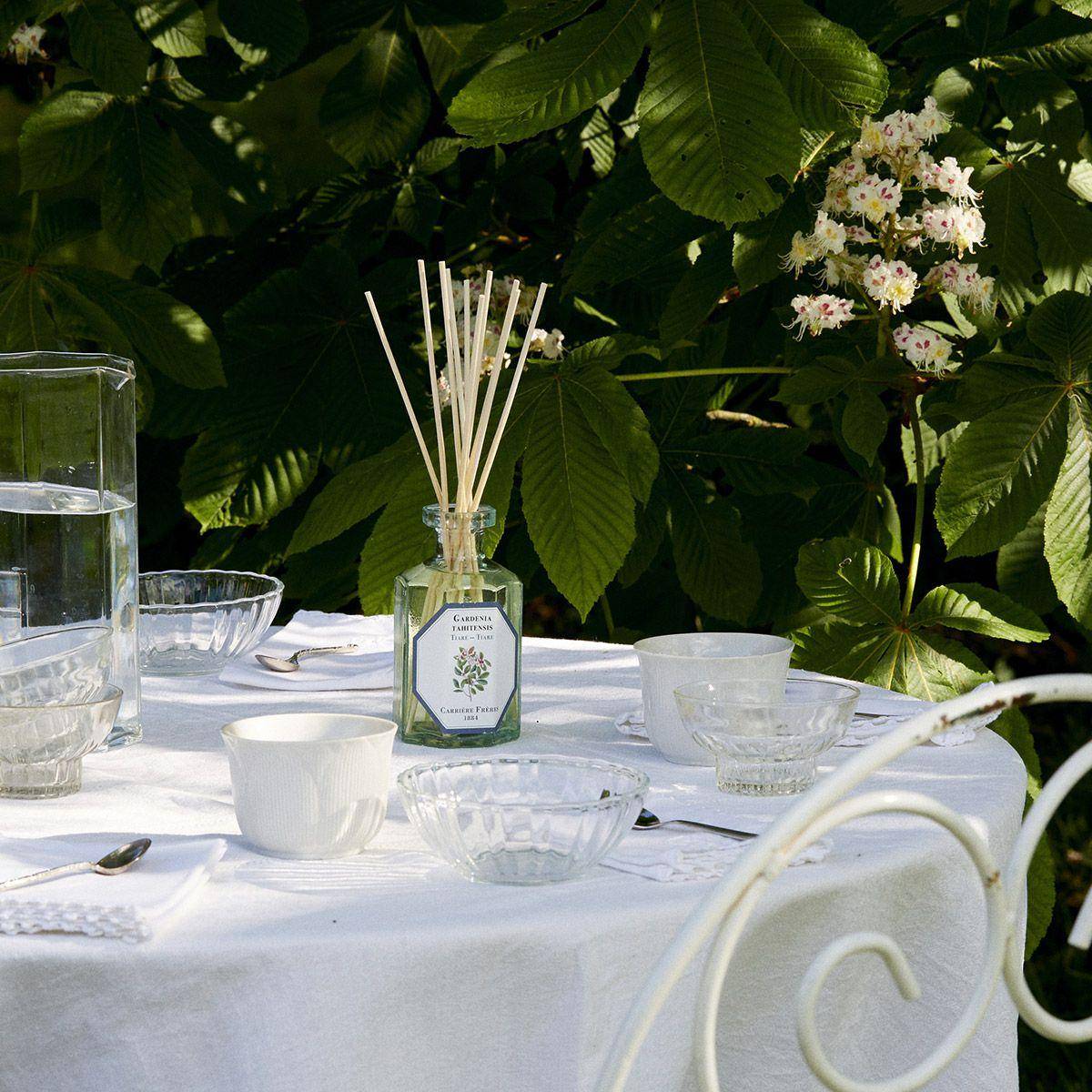 Carrière Frères Tiare (Gardenia Tahitensis)