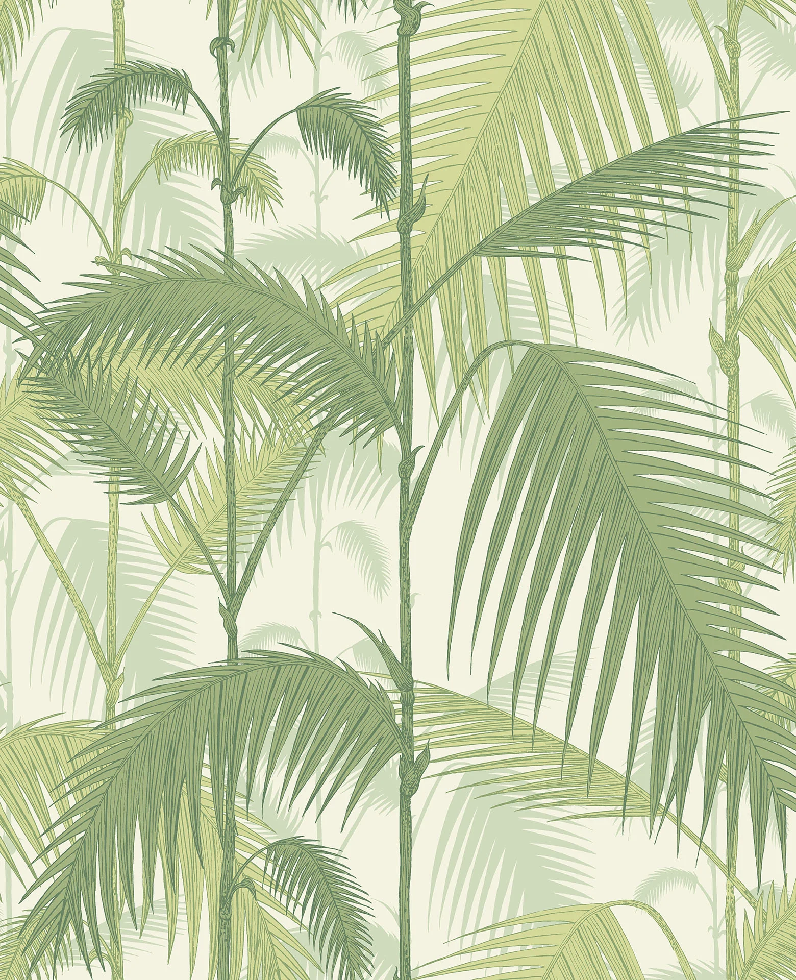 Cole & Son Palm Jungle