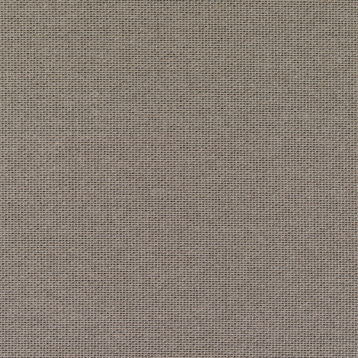 Kvadrat Autumn