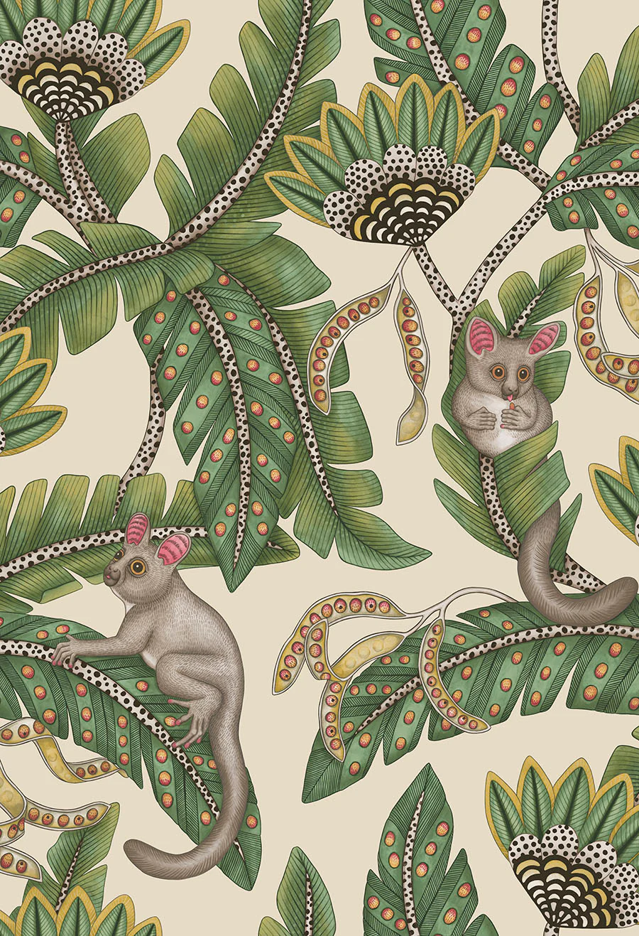 Cole & Son Bush Baby