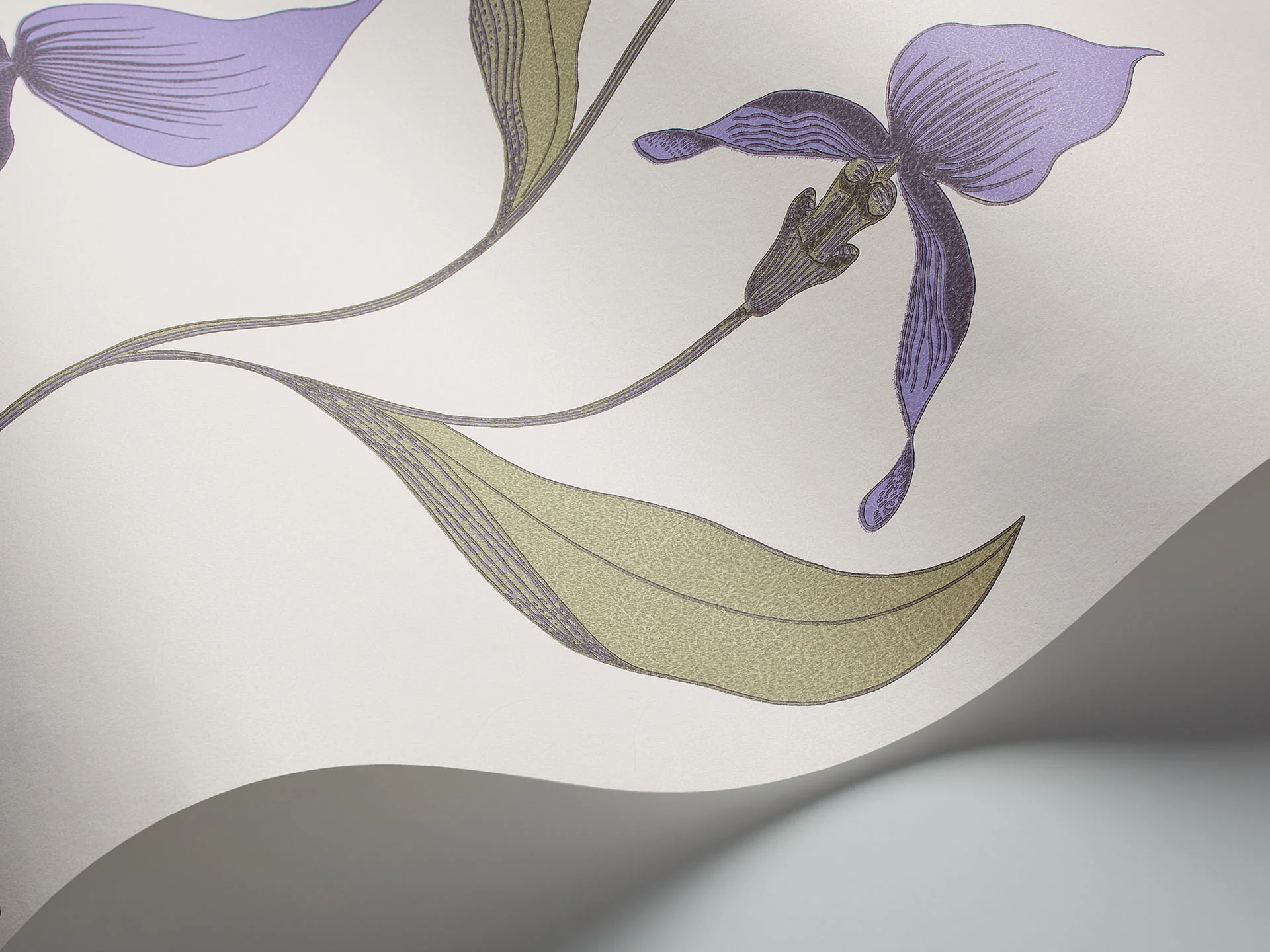 Cole & Son Orchid